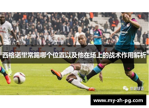 西格诺里常踢哪个位置以及他在场上的战术作用解析