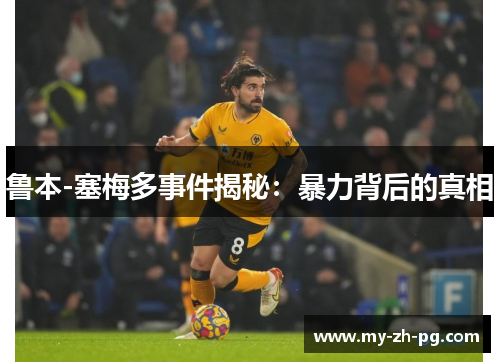 鲁本-塞梅多事件揭秘：暴力背后的真相