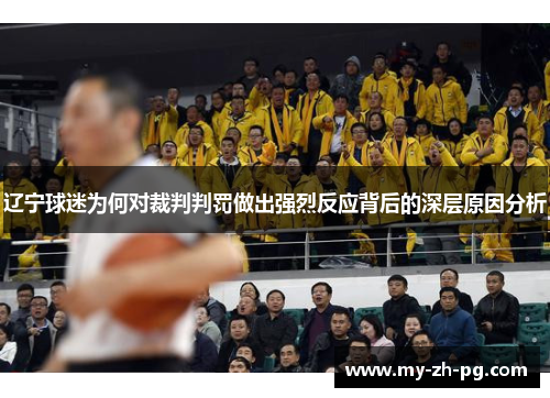 辽宁球迷为何对裁判判罚做出强烈反应背后的深层原因分析