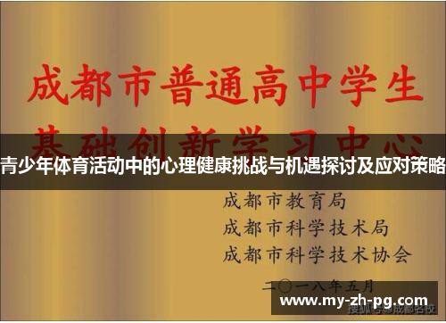 青少年体育活动中的心理健康挑战与机遇探讨及应对策略